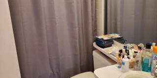 Cambridgeport two bedrooms apartment available Gallery 8