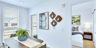 Claro at High Point Gallery 61