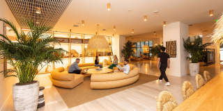 Flow Fort Lauderdale Flow Fort Lauderdale Gallery 26