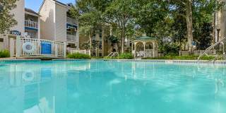 Chestnut Creek Gallery 14