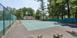 Piccadilly Gallery 10