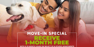 Twain Estates Gallery 12