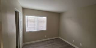 626 Palmwood Lane Gallery 57