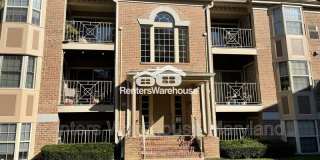 3512 Thomas Pointe court Gallery 1