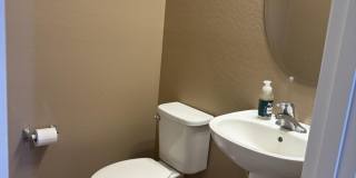 10743 W DESERT ELM Lane Gallery 8