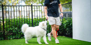 Leksa at Cityplace Gallery 73