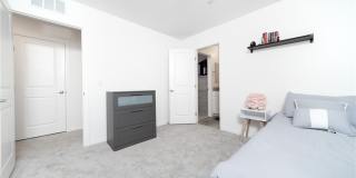 2849 Desert Mosaic Lane Gallery 19