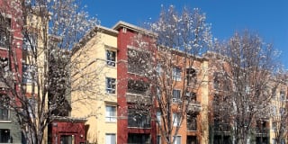 Waterford Place Gallery 27