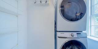 Sunny & Renovated 2BR 1BA in NW DC McLean Gardens Oasis! Gallery 6
