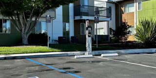 Addison Ranch Gallery 58