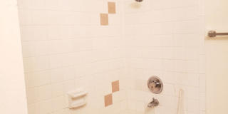 Oakterr Gallery 9