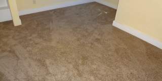 Garden Level 2 Bedroom Apartment right near D.U. Gallery 11