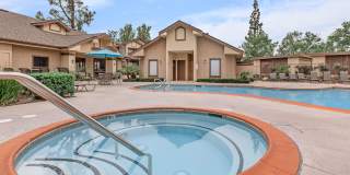 Mountain Springs Gallery 6