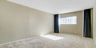 Spacious & Bright 3BR Condo with Bonus Room, Secured Parking & Hollywood History! Gallery 15