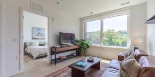 The Driftway Gallery 41