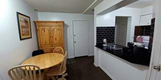 Large Private Furnished Girl  Room Downtown ASAP - Balcony, Storage and more Gallery 20