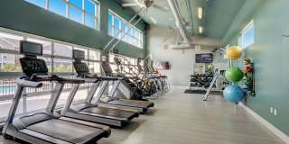 Springs at South Elgin Springs at South Elgin Gallery 24