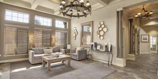 Paradise Falls Gallery 19