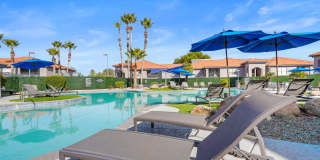 Sonoran Reserve Gallery 15