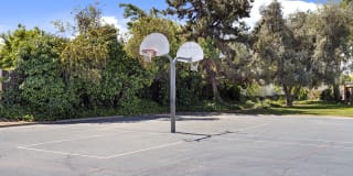 Park West Gallery 18