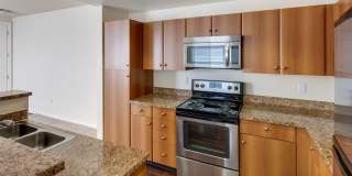 Museum Park Museum Park Gallery 5