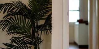 729 Jenifer Street Unit 2 Gallery 10