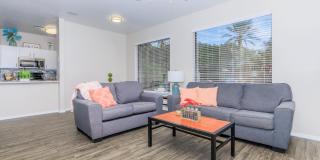 Riverwalk Luxury Apartments Gallery 5