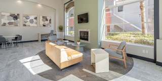 Bloom Apartment Homes Gallery 41