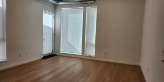Arthaus Apartments Gallery 4