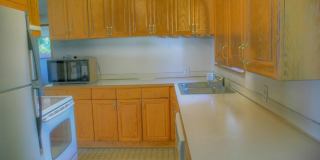 Spacious Renton Rambler w/ a HUGE Backyard! Gallery 5