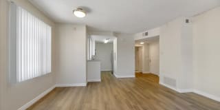 Koll Center Gallery 8