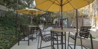 Pacific Vista Gallery 2