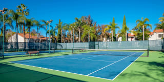 Montierra Gallery 22