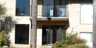 1911 Estrella De Mar Ct Gallery 10