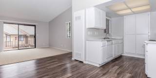 Mountain Springs Gallery 30