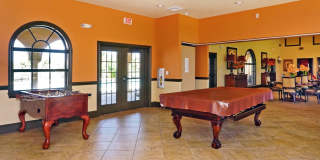 Walk to the ocean! Gallery 24