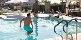 Canopy at Sundance Gallery 83