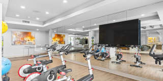 The Residences at the Domain Gallery 24