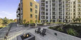 Maxwell at Bascom Maxwell at Bascom Gallery 43