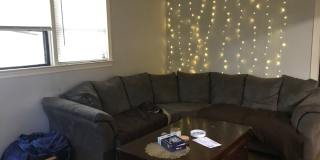 3 Bed house on Sharkey St! Available NOW! Gallery 3