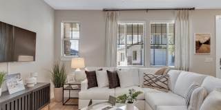 Town Arlington Gallery 3