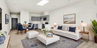 The Nelly 10 Gallery 1