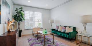 Auxo at Memorial Gallery 7