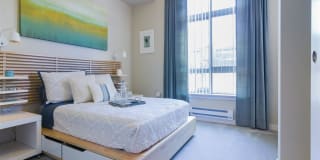 Bailey Farm Gallery 12