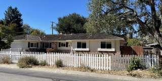 2048 Louise Lane Gallery 2