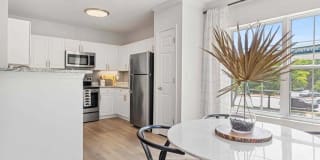 Sofi at Salem Station Gallery 3