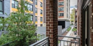 Geno Baroni Gallery 10