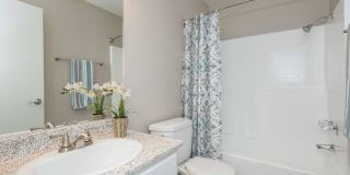 Oak Tree Court Gallery 35