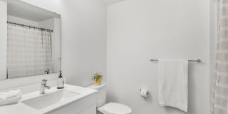 Koz at the Dome Gallery 13