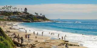 229 Bonair St Gallery 52